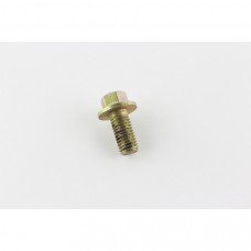 Болт головки топливного фильтра, M12x1.75x25, ISBE, 3901249
